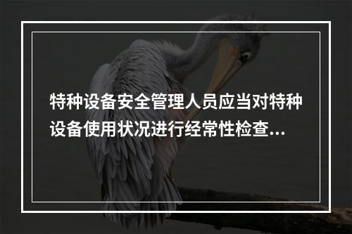 特种设备安全管理人员应当对特种设备使用状况进行经常性检查，发