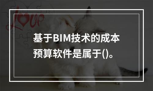 基于BIM技术的成本预算软件是属于()。