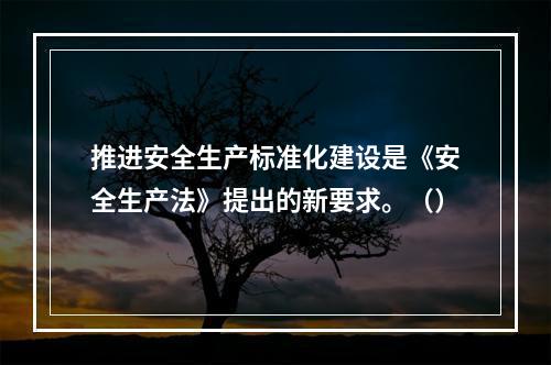 推进安全生产标准化建设是《安全生产法》提出的新要求。（）