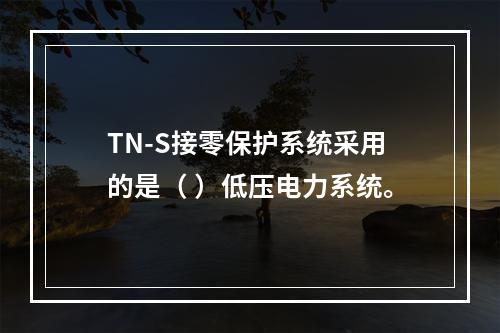 TN-S接零保护系统采用的是（ ）低压电力系统。