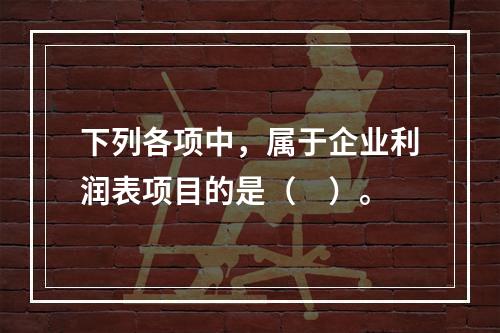 下列各项中，属于企业利润表项目的是（　）。