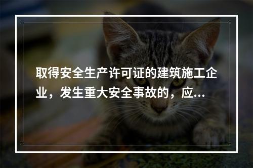 取得安全生产许可证的建筑施工企业，发生重大安全事故的，应（