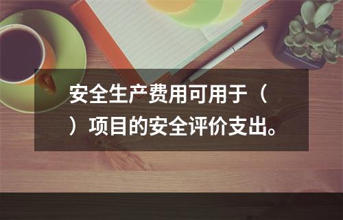 安全生产费用可用于（ ）项目的安全评价支出。