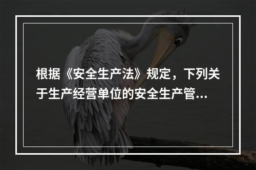 根据《安全生产法》规定，下列关于生产经营单位的安全生产管理机