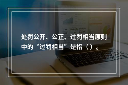 处罚公开、公正、过罚相当原则中的“过罚相当”是指（ ）。