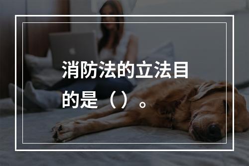 消防法的立法目的是（ ）。