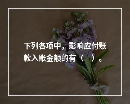 下列各项中，影响应付账款入账金额的有（　）。