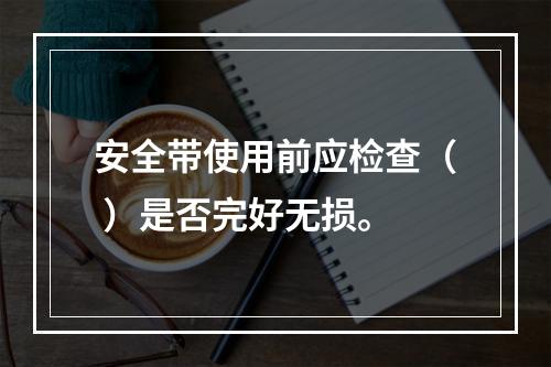 安全带使用前应检查（ ）是否完好无损。