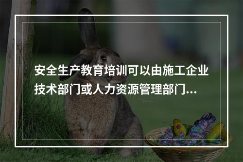 安全生产教育培训可以由施工企业技术部门或人力资源管理部门兼管