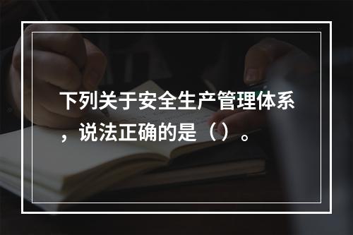 下列关于安全生产管理体系，说法正确的是（ ）。