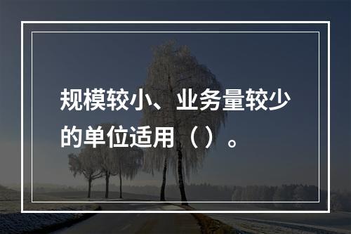 规模较小、业务量较少的单位适用（ ）。