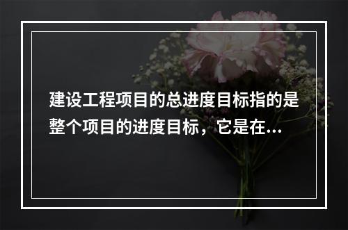 建设工程项目的总进度目标指的是整个项目的进度目标，它是在（　