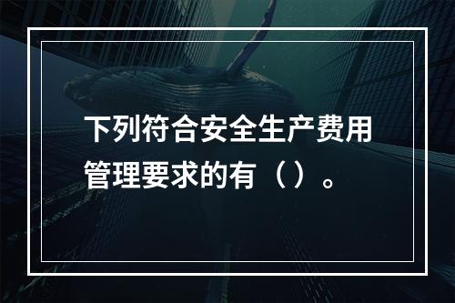 下列符合安全生产费用管理要求的有（ ）。