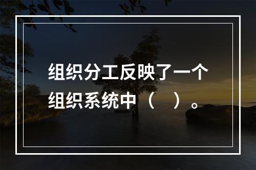 组织分工反映了一个组织系统中（　）。