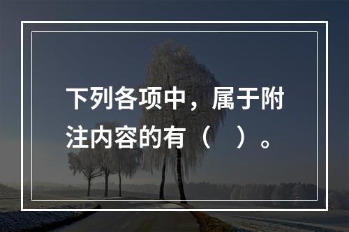 下列各项中，属于附注内容的有（　）。