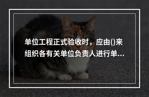 单位工程正式验收时，应由()来组织各有关单位负责人进行单位工