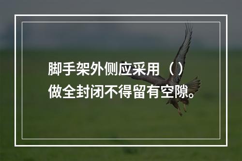 脚手架外侧应采用（ ）做全封闭不得留有空隙。