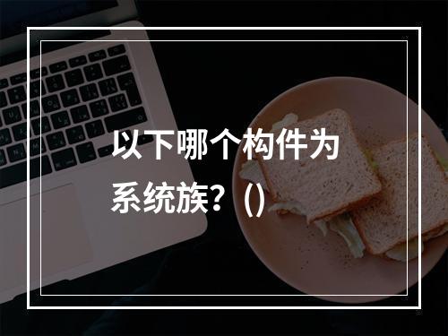 以下哪个构件为系统族？()