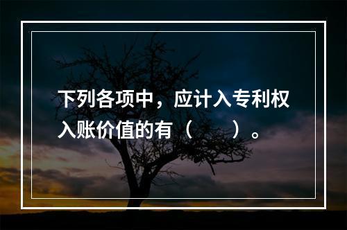 下列各项中，应计入专利权入账价值的有（　　）。