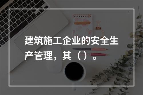 建筑施工企业的安全生产管理，其（ ）。