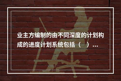 业主方编制的由不同深度的计划构成的进度计划系统包括（　）。