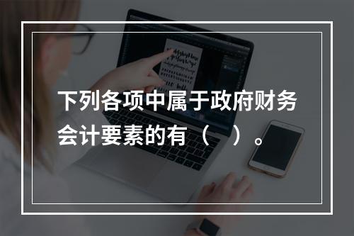 下列各项中属于政府财务会计要素的有（　）。