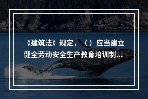 《建筑法》规定，（ ）应当建立健全劳动安全生产教育培训制度，