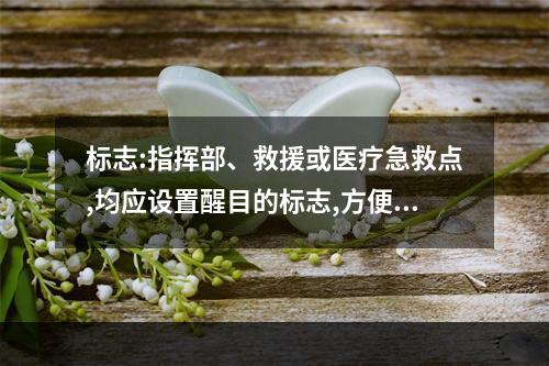 标志:指挥部、救援或医疗急救点,均应设置醒目的标志,方便救援