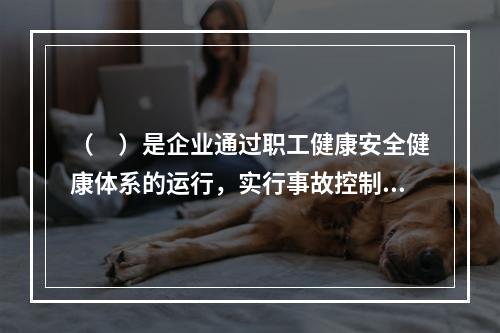 （　）是企业通过职工健康安全健康体系的运行，实行事故控制的开