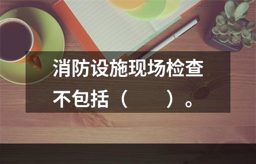 消防设施现场检查不包括（  ）。