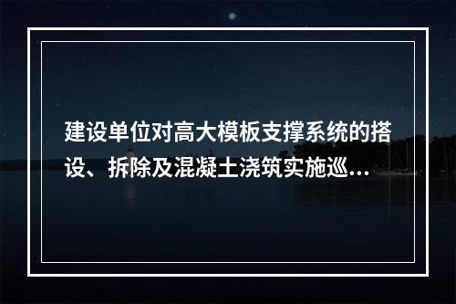 建设单位对高大模板支撑系统的搭设、拆除及混凝土浇筑实施巡查，