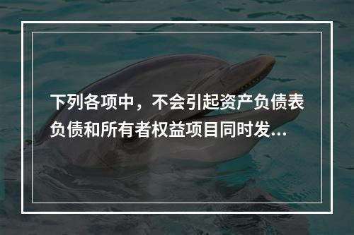 下列各项中，不会引起资产负债表负债和所有者权益项目同时发生变