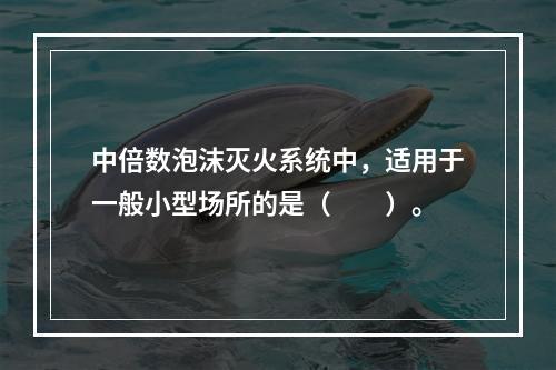 中倍数泡沫灭火系统中，适用于一般小型场所的是（  ）。