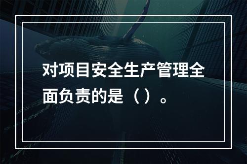 对项目安全生产管理全面负责的是（ ）。