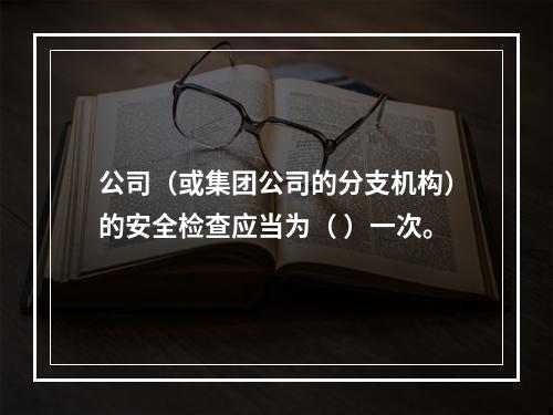 公司（或集团公司的分支机构）的安全检查应当为（ ）一次。