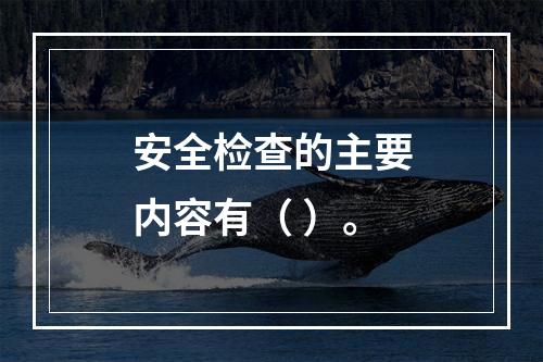 安全检查的主要内容有（ ）。