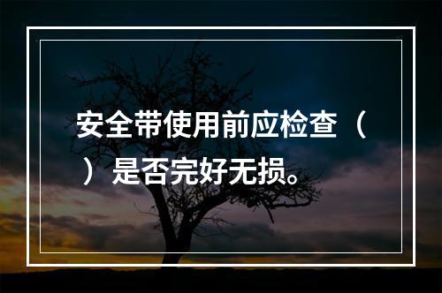 安全带使用前应检查（ ）是否完好无损。