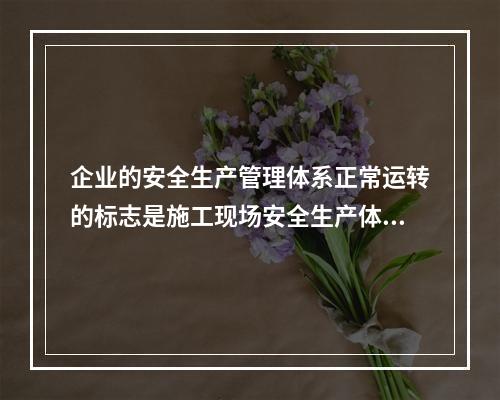 企业的安全生产管理体系正常运转的标志是施工现场安全生产体系的