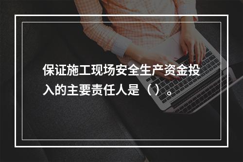 保证施工现场安全生产资金投入的主要责任人是（ ）。