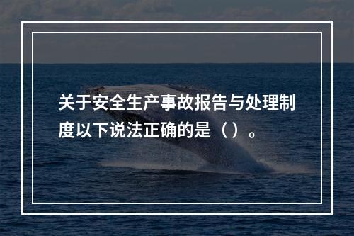 关于安全生产事故报告与处理制度以下说法正确的是（ ）。