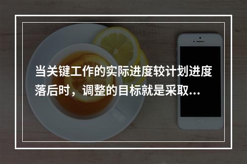 当关键工作的实际进度较计划进度落后时，调整的目标就是采取措施