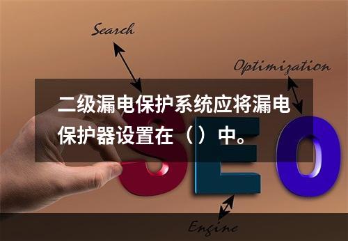 二级漏电保护系统应将漏电保护器设置在（ ）中。