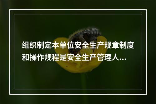 组织制定本单位安全生产规章制度和操作规程是安全生产管理人员的