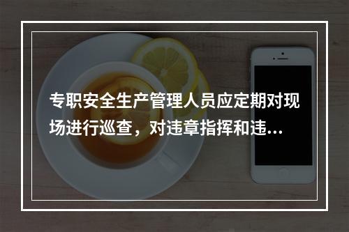 专职安全生产管理人员应定期对现场进行巡查，对违章指挥和违章作