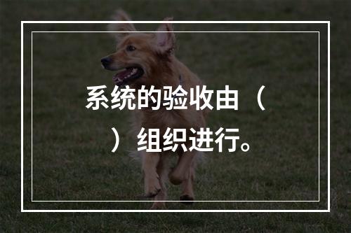 系统的验收由（  ）组织进行。