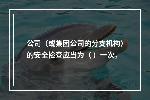 公司（或集团公司的分支机构）的安全检查应当为（ ）一次。