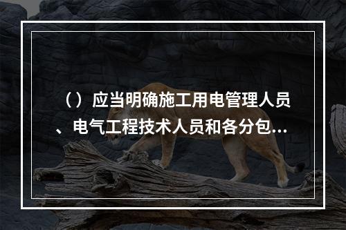 （ ）应当明确施工用电管理人员、电气工程技术人员和各分包单位