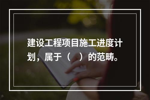 建设工程项目施工进度计划，属于（　）的范畴。