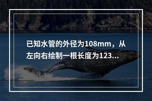 已知水管的外径为108mm，从左向右绘制一根长度为12300