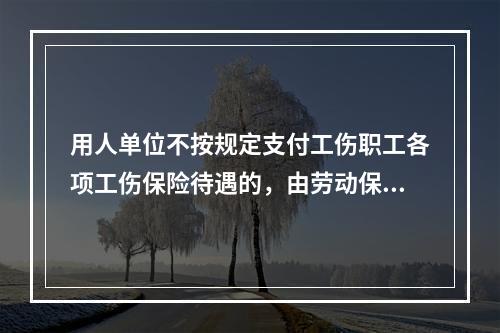 用人单位不按规定支付工伤职工各项工伤保险待遇的，由劳动保障行